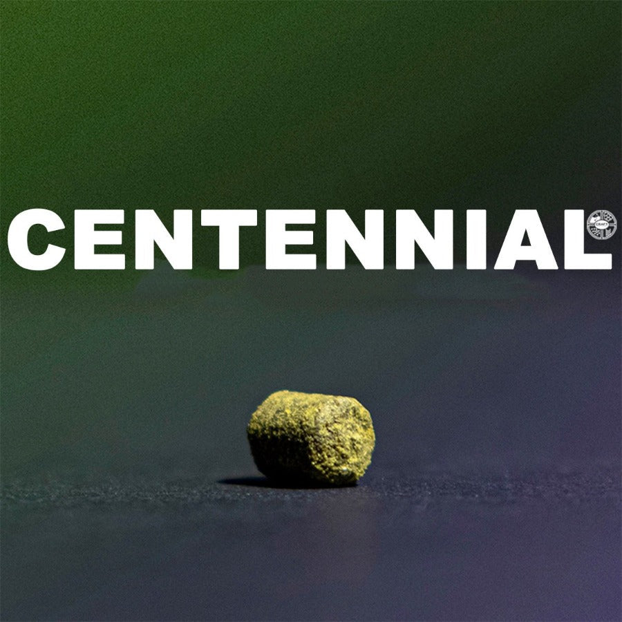 ฮอป ทำเบียร์ Centennial Hops คราฟท์ คอมโพเนนท์