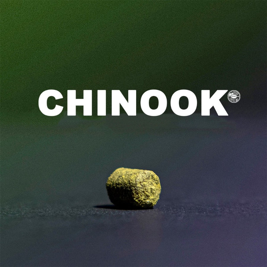 ฮอป ทำเบียร์ Chinook hops คราฟท์ คอมโพเนนท์