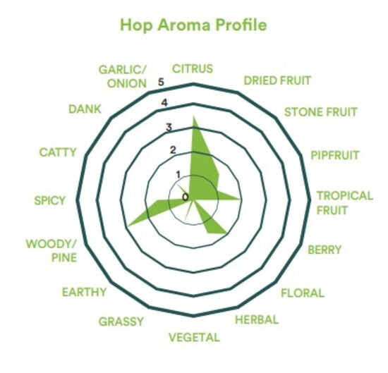2026 Riwaka Hops (Pellet) - ริวาก้า ฮอป (เพลลิท)