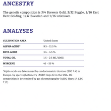 Load image into Gallery viewer, ฮอป ทำเบียร์ Centennial Hops คราฟท์ คอมโพเนนท์
