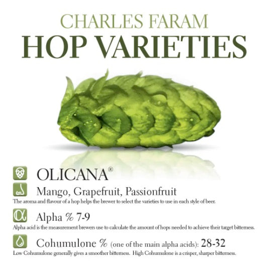 ฮอป ทำเบียร์ Olicana hops คราฟท์ คอมโพเนนท์