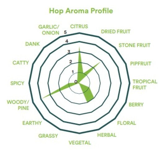 2026 Taiheke Hops (Pellet) - ไทเฮเค ฮอป (เพลลิท)