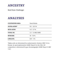 Load image into Gallery viewer, ฮอปส์ ทำเบียร์ target hops คราฟท์ คอมโพเนนท์