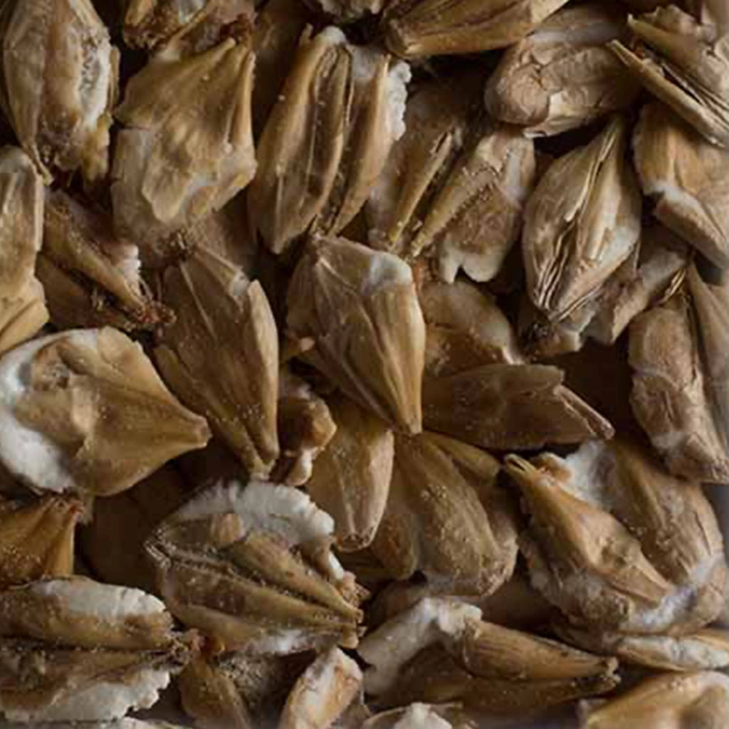 Chateau Flaked Barley Nature (EBC 3-7)