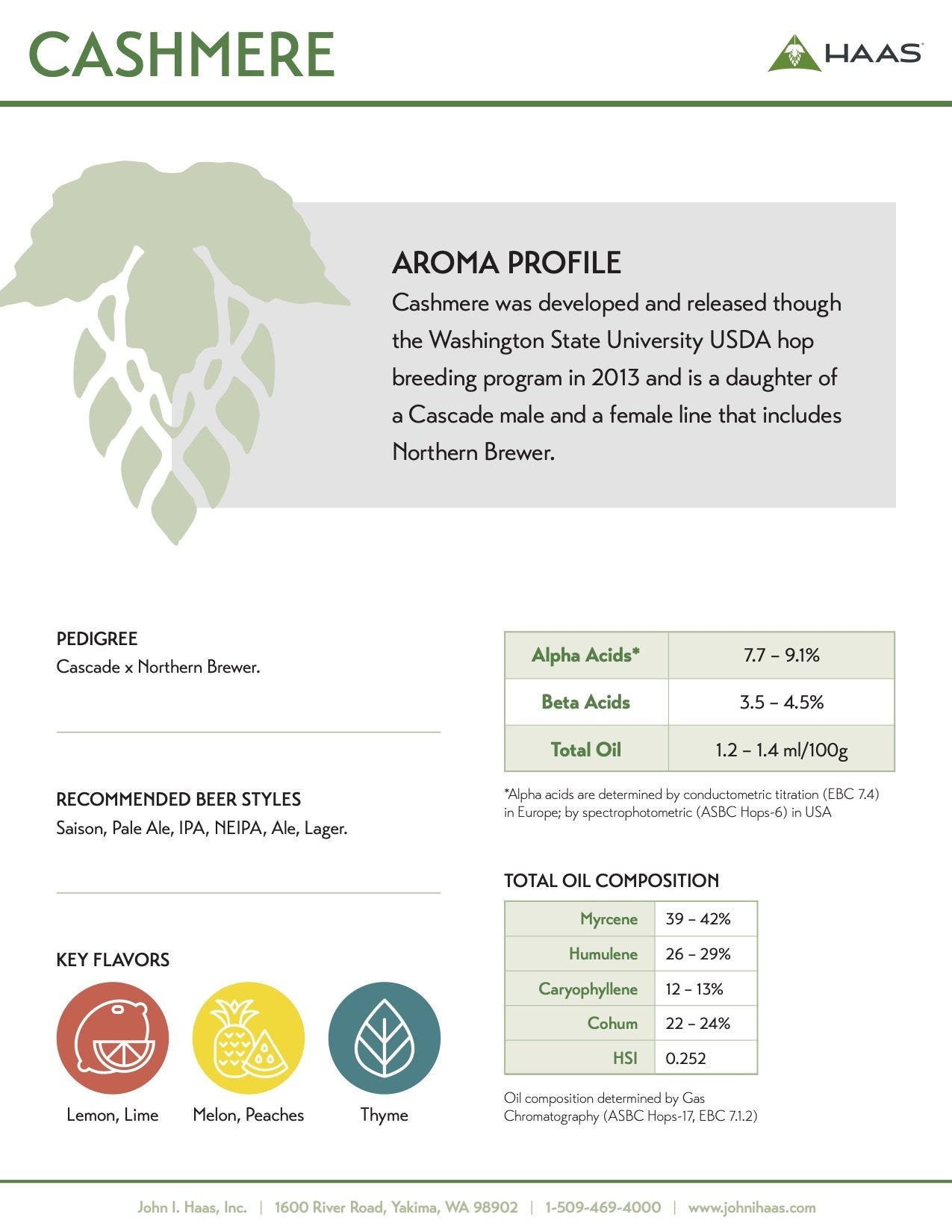 ฮอป ทำเบียร์ Cashmere hops คราฟท์ คอมโพเนนท์