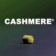 Load image into Gallery viewer, ฮอป ทำเบียร์ Cashmere hops คราฟท์ คอมโพเนนท์