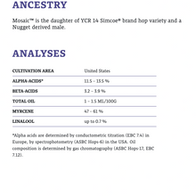Load image into Gallery viewer, ฮอป ทำเบียร์ mosaic hops คราฟท์ คอมโพเนนท์