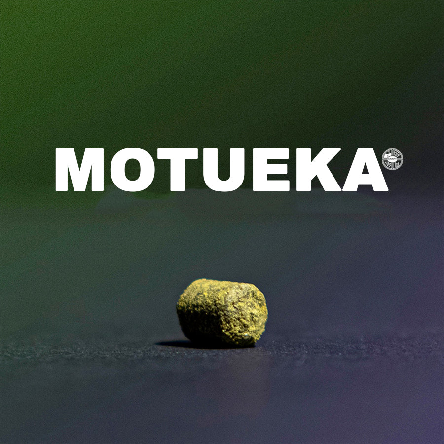 ฮอป ทำเบียร์ Motueka hops คราฟท์ คอมโพเนนท์