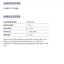 โหลดรูปภาพลงในเครื่องมือใช้ดูของ Gallery ฮอป ทำเบียร์ Willamette Hops คราฟท์ คอมโพเนนท์