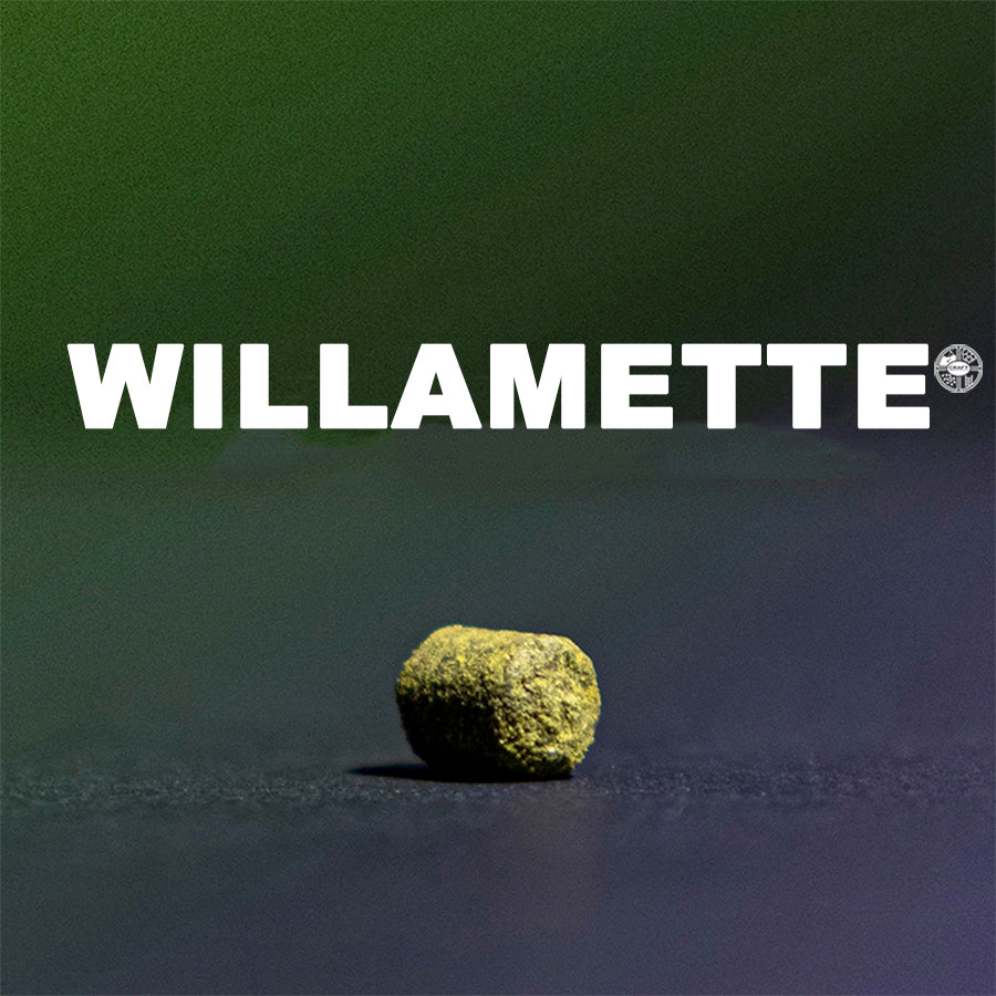 ฮอป ทำเบียร์ Willamette Hops คราฟท์ คอมโพเนนท์