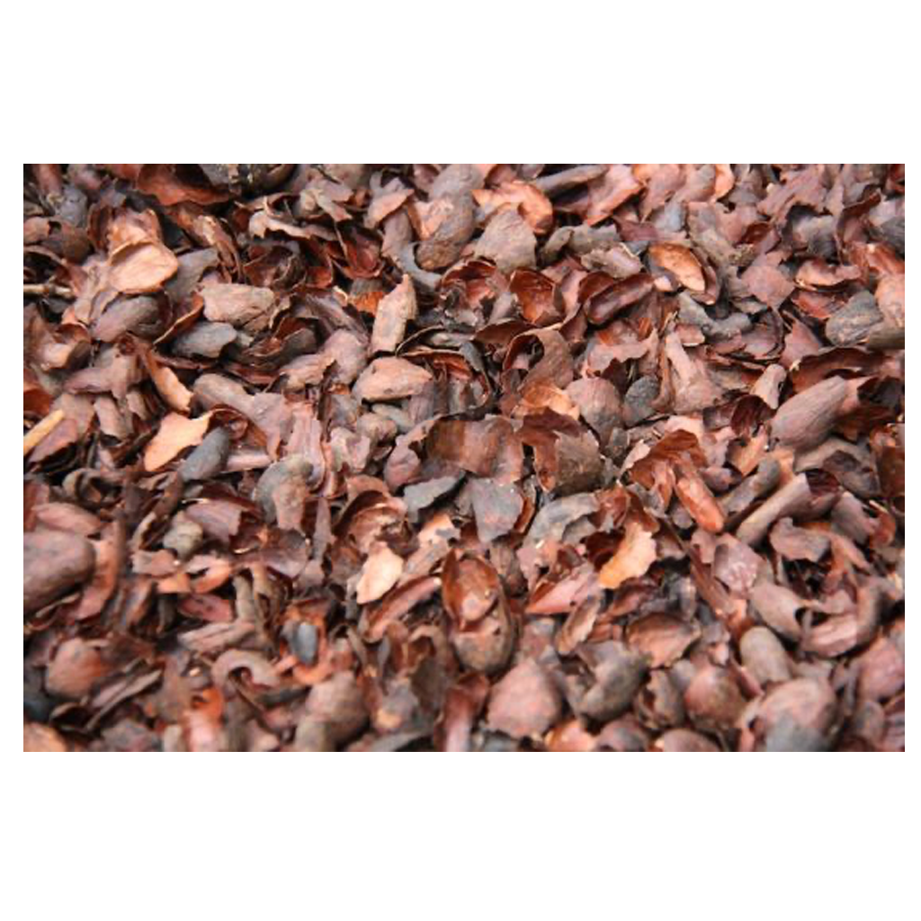 Cocao Husks (500 gm) - เปลือกโกโก้