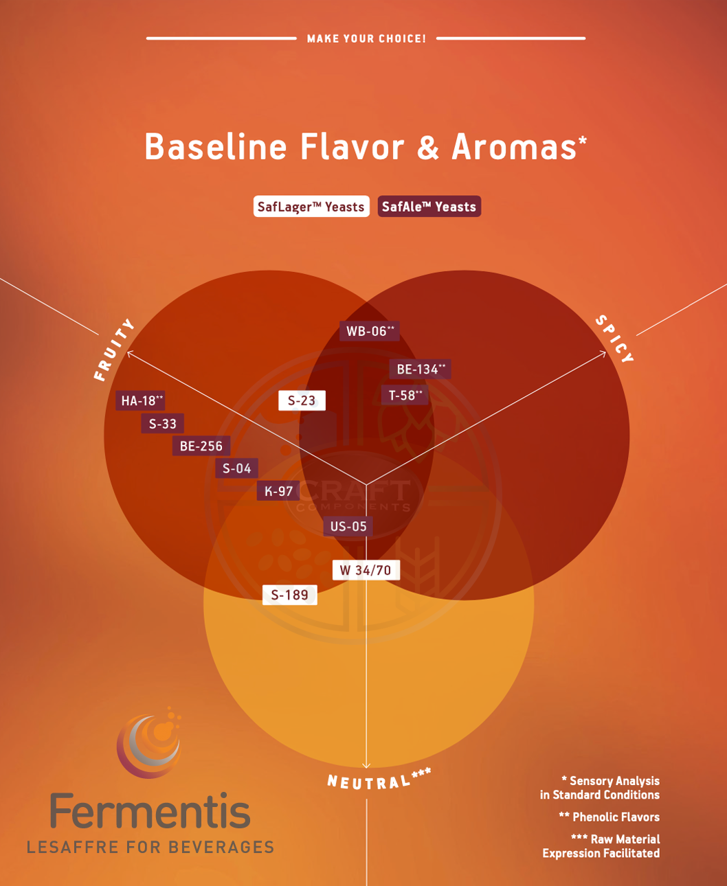 รสชาติเบียร์ที่ได้จากยีสต์ ประเภทเบียร์ที่เหมาะกับยีสต์ fermentis yeast baseline flavor and aromas