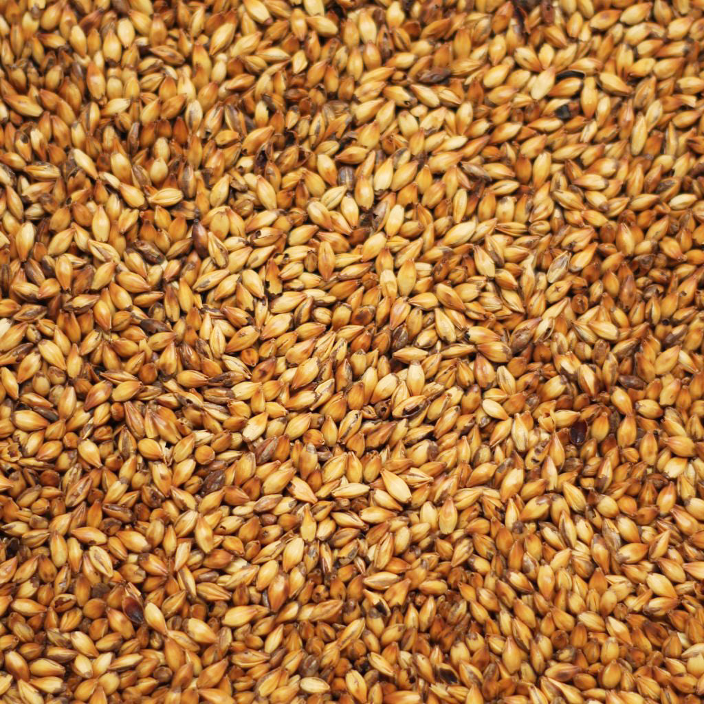 แอบบี้มอลต์ ทำเบียร์ โฮมบริว homebrew abbey malt