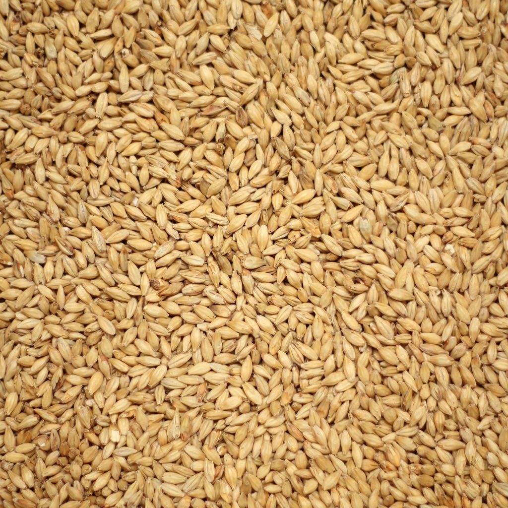 เวียนนามอลต์ ทำเบียร์ โฮมบริว homebrew vienna malt