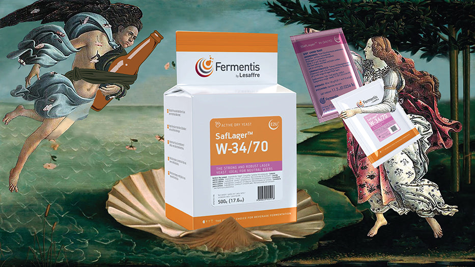 เปิดโลกการหมัก Fermentis SafLager™ W-34/70 แบบใหม่ แบบสับ