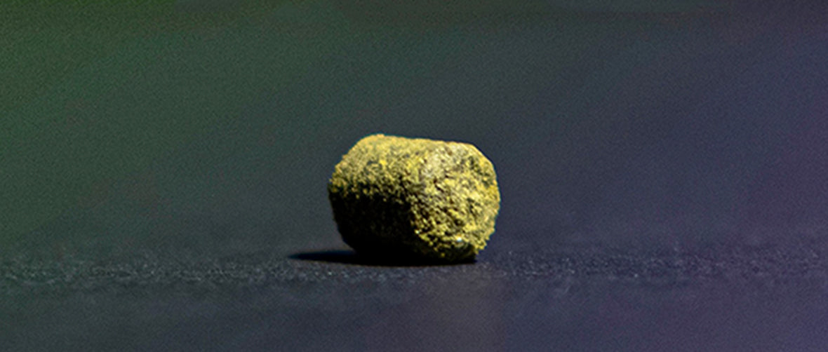 ฮอปส์ Hops ทำเบียร์ คราฟท์ คอมโพเนนท์