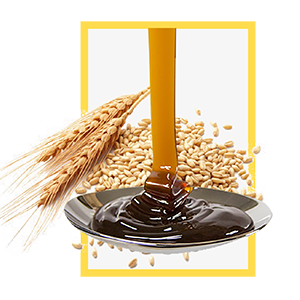มอลต์สกัด ชนิดน้ำ (Liquid Malt Extract)