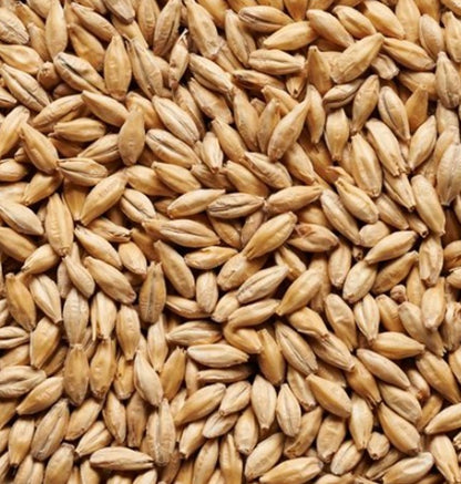 Malt Barret Burston Distiller (EBC 3.0 - 4.0)