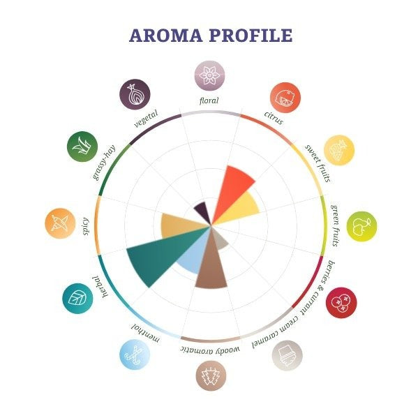 ฮอป ทำเบียร์ bramling cross hops คราฟท์ คอมโพเนนท์