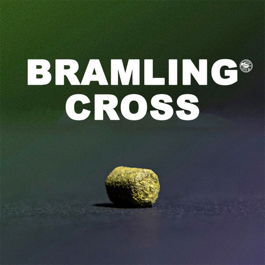ฮอป ทำเบียร์ bramling cross hops คราฟท์ คอมโพเนนท์