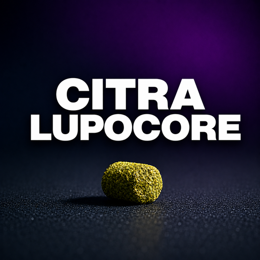 2025 Citra Lupocore Hops