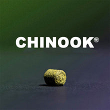 Load image into Gallery viewer, ฮอป ทำเบียร์ Chinook hops คราฟท์ คอมโพเนนท์
