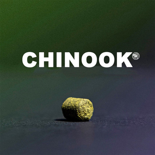 ฮอป ทำเบียร์ Chinook hops คราฟท์ คอมโพเนนท์