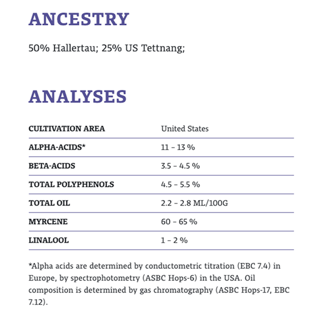 ฮอป ทำเบียร์ citra hops คราฟท์ คอมโพเนนท์