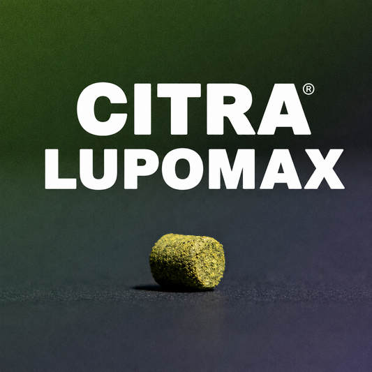 2025 Citra Lupomax Hops