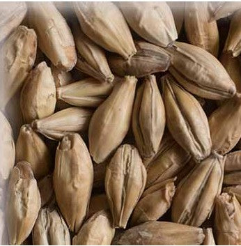 Malt Chateau Distiling (EBC 4.5 - 6.5)