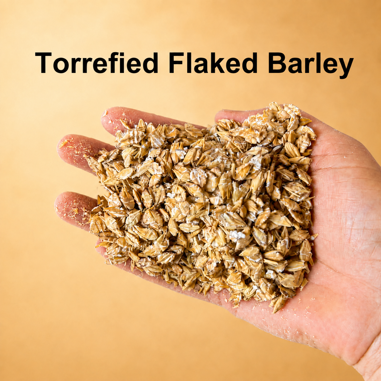 Torrefied Flaked Barley (Standard EBC)