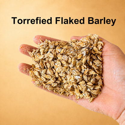 Torrefied Flaked Barley (Standard EBC)