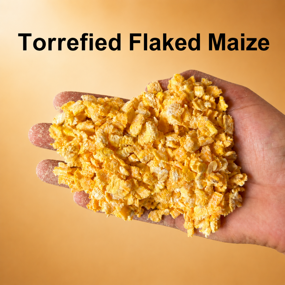 Torrefied Flaked Maize (Standard EBC)