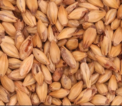 Malt Barret Burston Caramel (EBC 30 - 60)