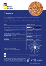 โหลดรูปภาพลงในเครื่องมือใช้ดูของ Gallery Malt Barret Burston Caramel (EBC 30 - 60)
