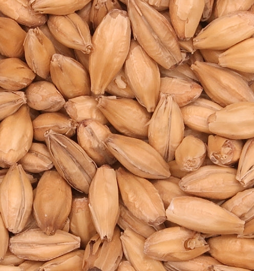Malt Barret Burston Extra Pale (EBC 3.3Max)