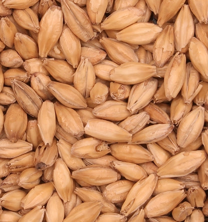 Malt Barret Burston Pale (EBC 3.3-4.5)