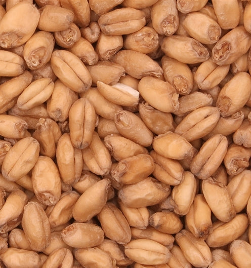 Malt Barret Burston Wheat (EBC 6.0 Max)