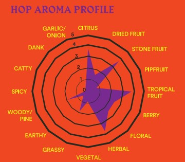 2026 Nectaron Hops (Pellet) - เนคทารอน ฮอป (เพลลิท)