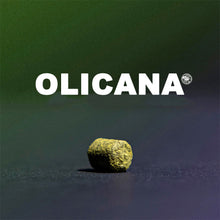 Load image into Gallery viewer, ฮอป ทำเบียร์ Olicana hops คราฟท์ คอมโพเนนท์

