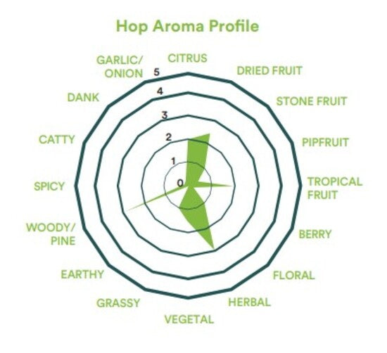 2026 Pacifica Hops (Pellet) - แปซิฟิก้า ฮอป (เพลลิท)