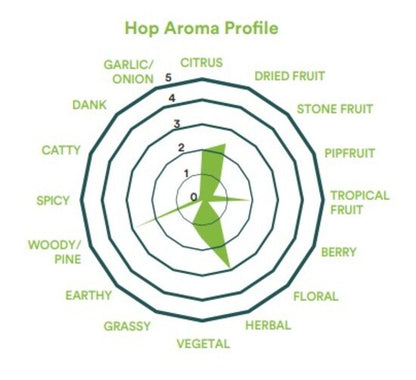 2026 Pacifica Hops (Pellet) - แปซิฟิก้า ฮอป (เพลลิท)