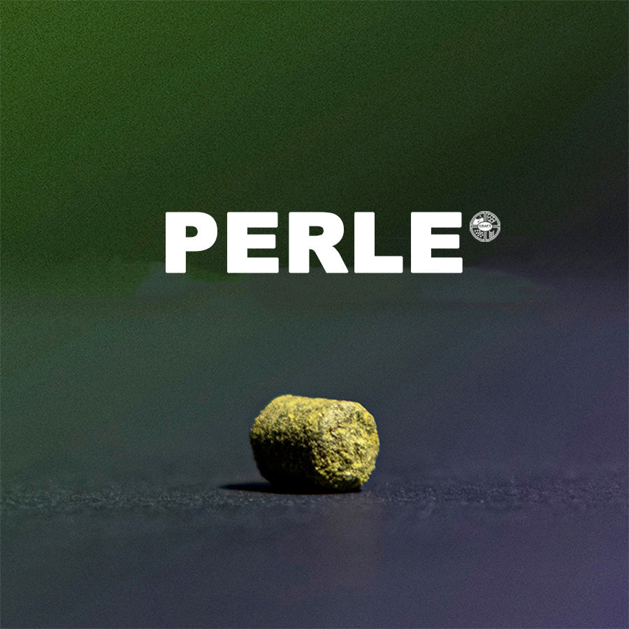 ฮอป ทำเบียร์ Perle Hops คราฟท์ คอมโพเนนท์