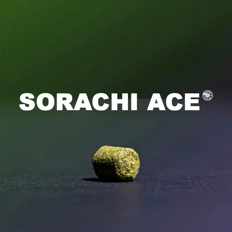 2023 Sorachi Ace Hops (Pellet)