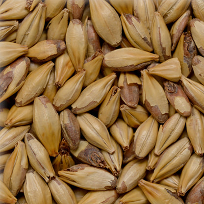 Malt Chateau Cara Arome (EBC 80-100)