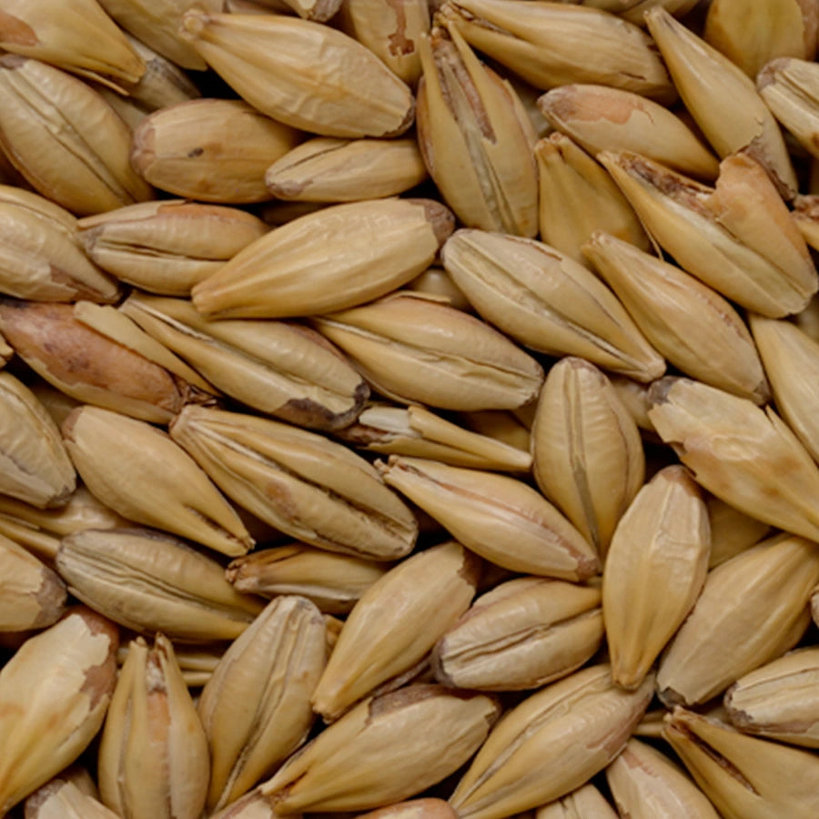 Malt Chateau Cara Belgium (EBC 30-35)