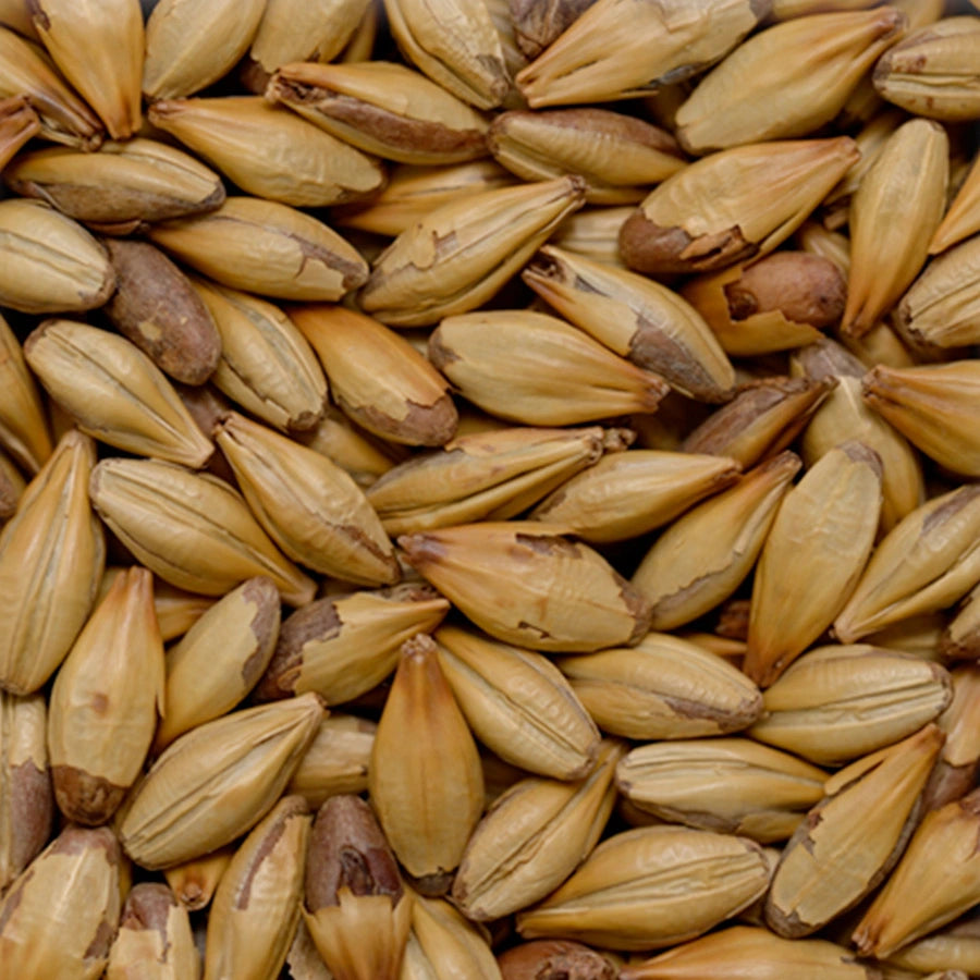 Malt Chateau Cara Terra (EBC 170-220)