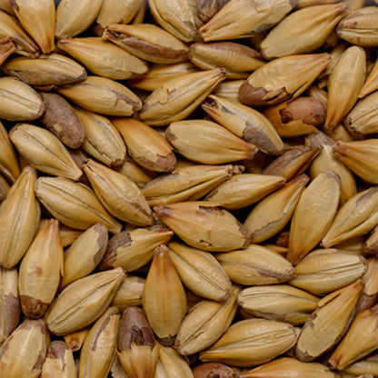 Malt Chateau Cara Terra (EBC 170-220)