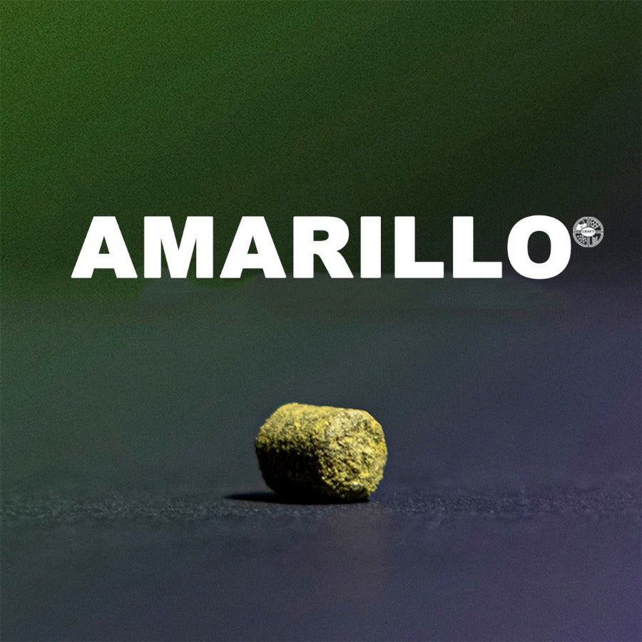 ฮอป ทำเบียร์ Amarillo Hops คราฟท์ คอมโพเนนท์ 