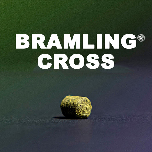 ฮอป ทำเบียร์ bramling cross hops คราฟท์ คอมโพเนนท์